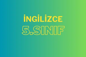 5. Sınıf 9. Ünite: The Animal Shelter – Konu Anlatımı ve Kelimeler 1 5. sınıf ingilizce dersi