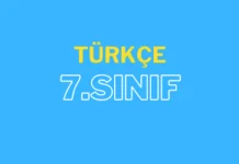 7. Sınıf Türkçe: Cümlede Anlam 7. sınıf türkçe