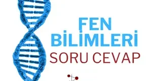 Fen Bilimleri
