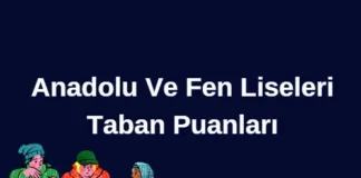 Anadolu ve Fen Liseleri