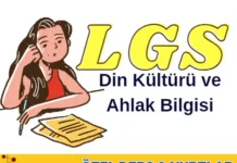 LGS Din