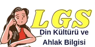LGS Din