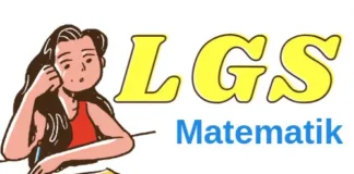 LGS Matematik