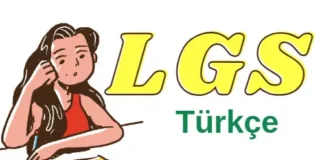 LGS Türkçe