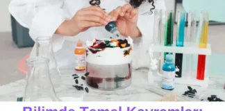 bağımsız değişkenler