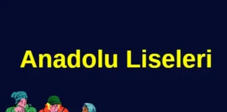 Anadolu liseleri