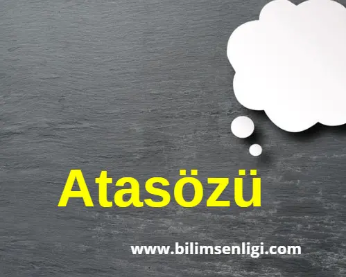 Acele İşe Şeytan Karışır Atasözü Anlamı 1 Atasözü