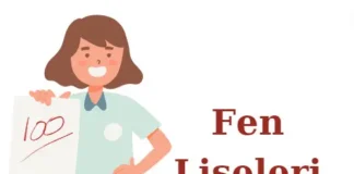Fen Lisesi