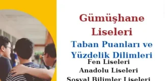 Gümüşhane Liseleri