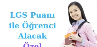 LGS Puanı