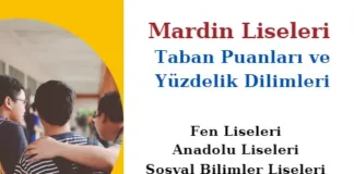 Mardin Liseleri