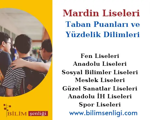 Mardin Liseleri