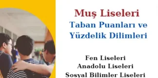 Muş Liseleri