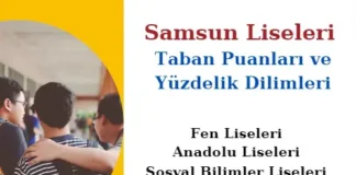 Samsun Liseleri