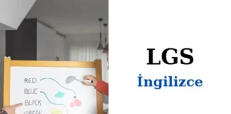 LGS İngilizce