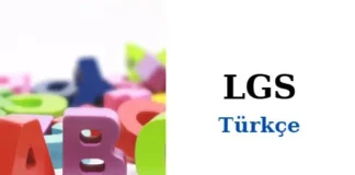 LGS Türkçe