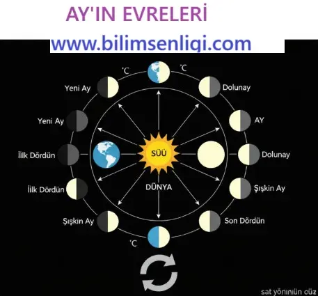 Ay'ın Evreleri