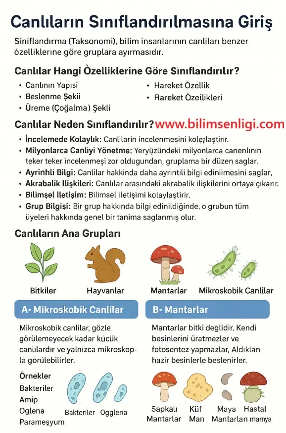 Canlıların Sınıflandırılması