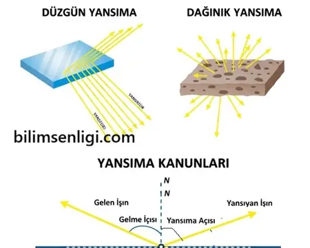 6. Sınıf Fen Bilimleri Işığın Yansıması 1 Işığın Yansıması