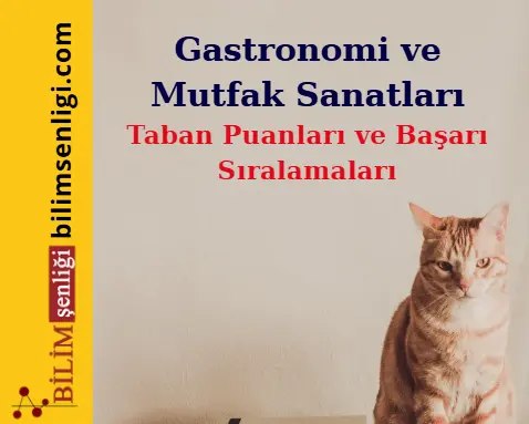 Gastronomi ve Mutfak Sanatları Bölümü (Sözel) Taban Puanları ve Sıralamaları (2025/2024) 1 Gastronomi ve Mutfak Sanatları Bölümü