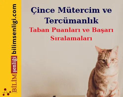 Çince Mütercim ve Tercümanlık