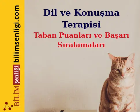 Dil ve Konuşma Terapisi bölümü