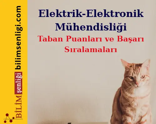 Elektrik-Elektronik Mühendisliği Bölümü