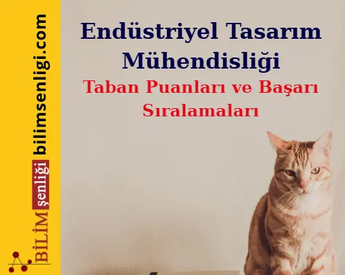 Endüstriyel Tasarım Mühendisliği Bölümü