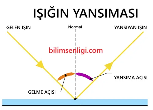 6. Sınıf Fen Bilimleri Işığın Yansıması 2 Işığın Yansıması
