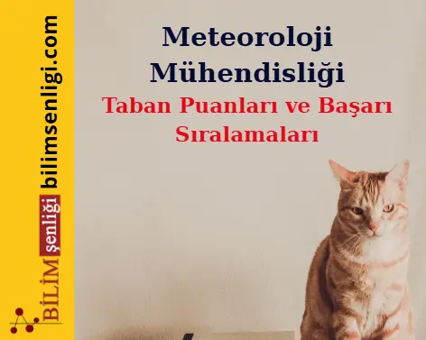 Meteoroloji Mühendisliği Bölümü (Sayısal) Taban Puanları ve Sıralamaları (2025/2024) 1 Meteoroloji Mühendisliği Bölümü