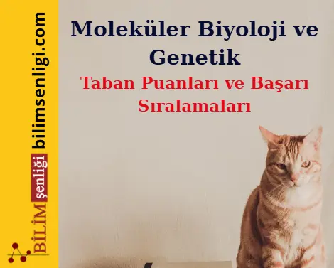 Moleküler Biyoloji ve Genetik Bölümü (Sayısal) Taban Puanları ve Sıralamaları (2025/2024) 1 Moleküler Biyoloji ve Genetik Bölümü