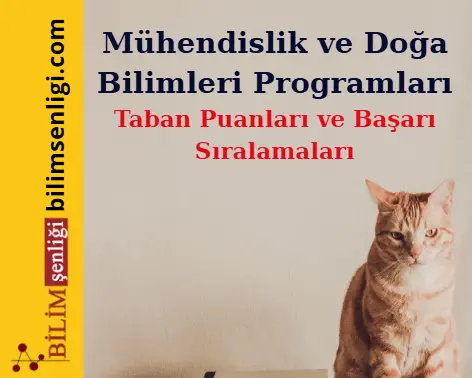 Mühendislik ve Doğa Bilimleri Programları Bölümü