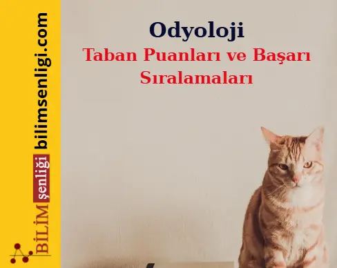 Odyoloji Bölümü (Sayısal) Taban Puanları ve Sıralamaları (2025/2024) 1 Odyoloji Bölümü