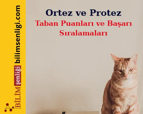 Ortez ve Protez Bölümü (Sayısal) Taban Puanları ve Sıralamaları (2025/2024) 1 Ortez ve Protez Bölümü