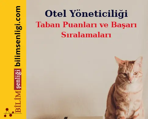 Otel Yöneticiliği Bölümü (Eşit Ağırlık) Taban Puanları ve Sıralamaları (2025/2024) 1 Otel Yöneticiliği Bölümü
