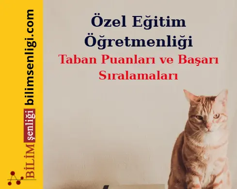 Özel Eğitim Öğretmenliği Bölümü (Sözel) Taban Puanları ve Sıralamaları (2025/2024) 1 Özel Eğitim Öğretmenliği Bölümü