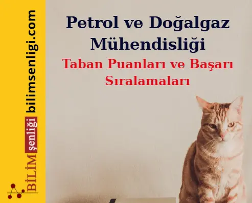 Petrol ve Doğalgaz Mühendisliği Bölümü (Sayısal) Taban Puanları ve Sıralamaları (2025/2024) 1 Petrol ve Doğalgaz Mühendisliği Bölümü