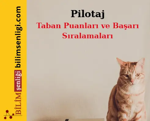 Pilotaj Bölümü