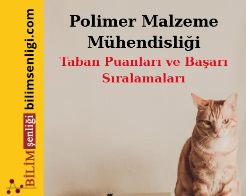 Polimer Malzeme Mühendisliği Bölümü
