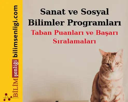 Sanat ve Sosyal Bilimler Programları Bölümü