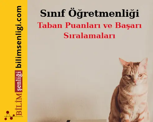 Sınıf Öğretmenliği Bölümü (Eşit Ağırlık) Taban Puanları ve Sıralamaları (2025/2024) 1 Sınıf Öğretmenliği Bölümü