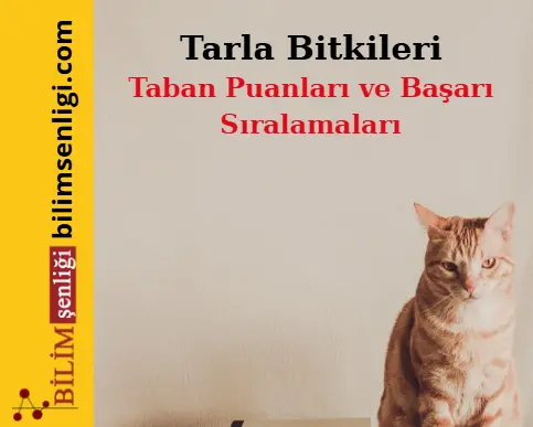 Tarla Bitkileri Bölümü