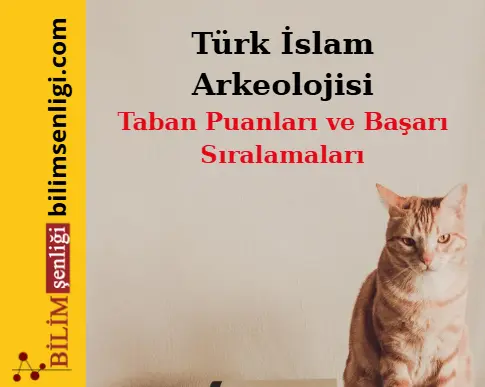 Türk İslam Arkeolojisi Bölümü (Eşit Ağırlık) Taban Puanları ve Sıralamaları (2025/2024) 1 Türk İslam Arkeolojisi Bölümü
