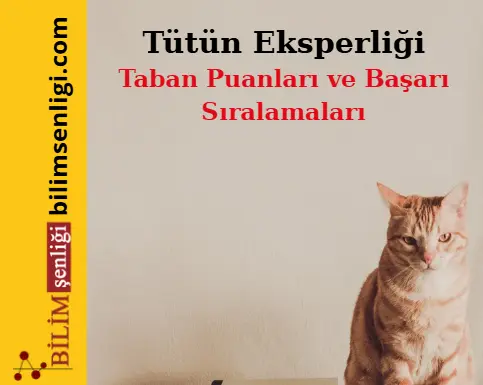 Tütün Eksperliği Bölümü (Sayısal) Taban Puanları ve Sıralamaları (2025/2024) 1 Tütün Eksperliği Bölümü