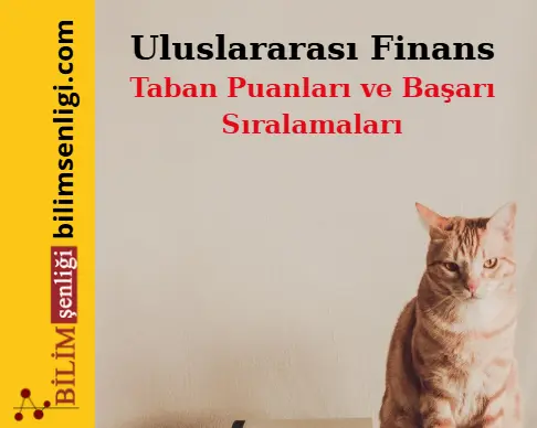 Uluslararası Finans Bölümü