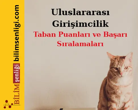 Uluslararası Girişimcilik Bölümü
