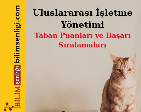 Uluslararası İşletme Yönetimi Bölümü