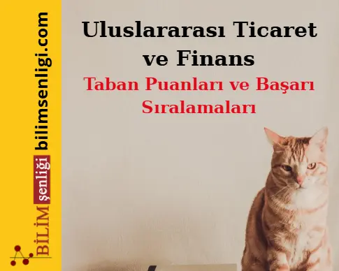 Uluslararası Ticaret ve Finans Bölümü