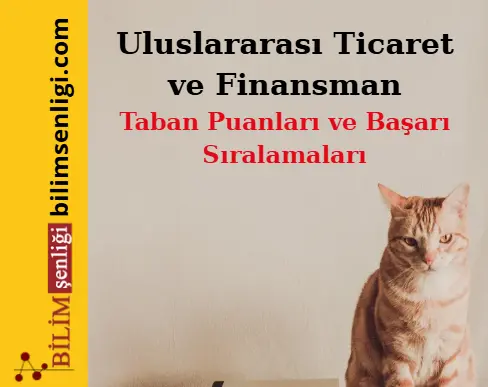 Uluslararası Ticaret ve Finansman Bölümü