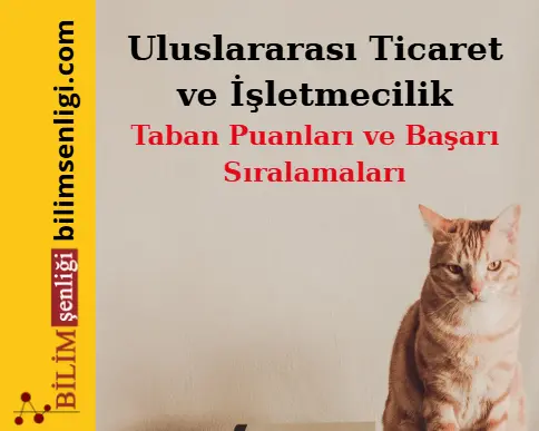 Uluslararası Ticaret ve İşletmecilik Bölümü